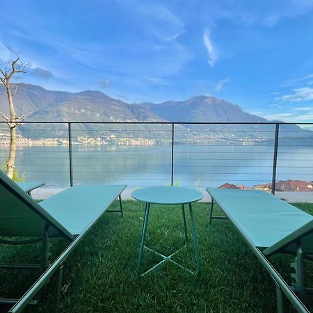 Il Noce Lake View Apartment Lezzeno Extérieur photo