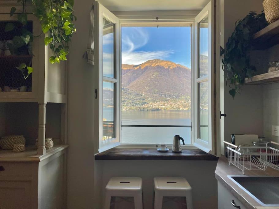 Il Noce Lake View Apartment Lezzeno Extérieur photo